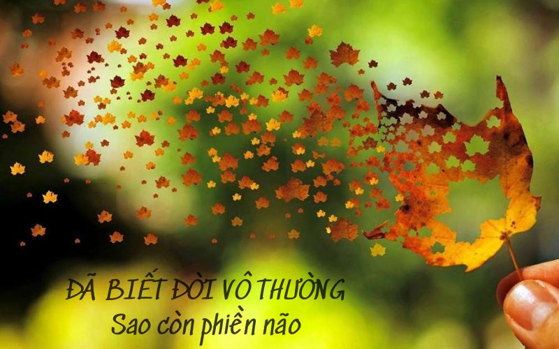 Vô Thường