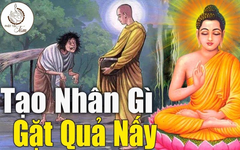 Nhân quả ba đời